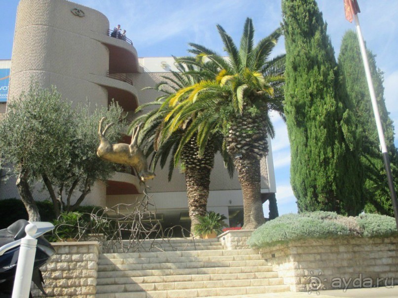 Парк Борели является самым любимым и посещаемым среди марсельцев. Сюда уже много лет подряд принято приходить семьями, приводить на прогулку детей