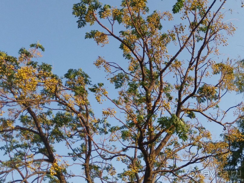 Шалом, Израиль! Часть 3. Галилея-Назарет, река Иордан, озеро Кинерет.