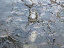 Шалом, Израиль! Часть 3. Галилея-Назарет, река Иордан, озеро Кинерет.