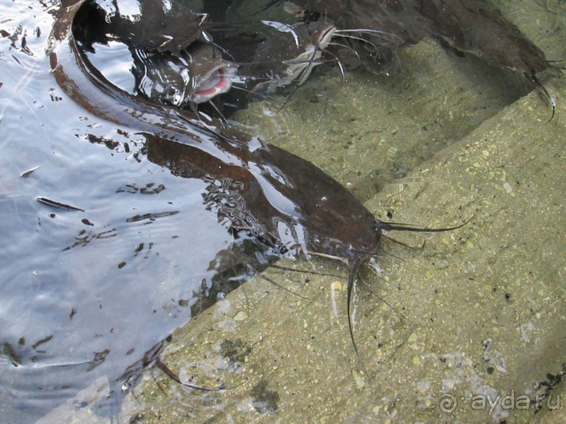 Шалом, Израиль! Часть 3. Галилея-Назарет, река Иордан, озеро Кинерет.