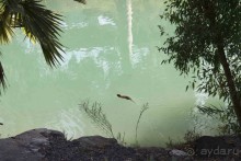 Шалом, Израиль! Часть 3. Галилея-Назарет, река Иордан, озеро Кинерет.