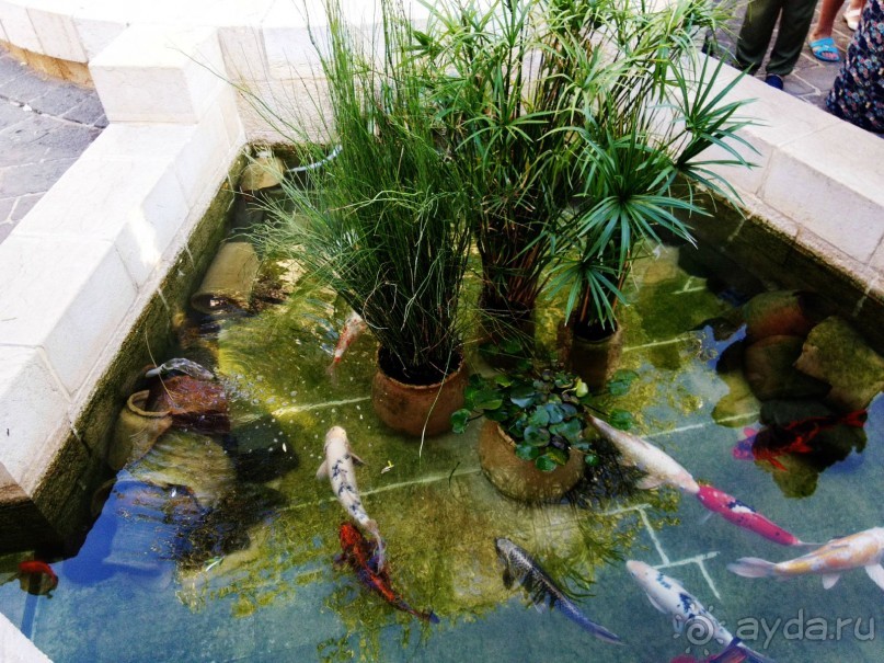 Шалом, Израиль! Часть 3. Галилея-Назарет, река Иордан, озеро Кинерет.