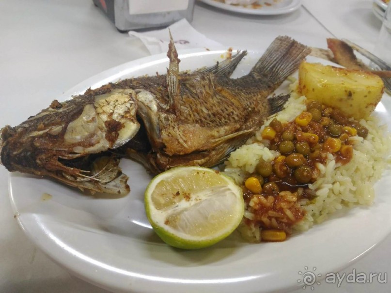 Шалом, Израиль! Часть 3. Галилея-Назарет, река Иордан, озеро Кинерет.