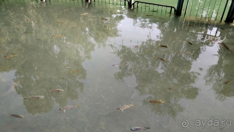 Шалом, Израиль! Часть 3. Галилея-Назарет, река Иордан, озеро Кинерет.