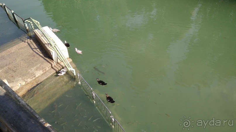 Шалом, Израиль! Часть 3. Галилея-Назарет, река Иордан, озеро Кинерет.