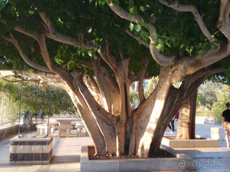 Шалом, Израиль! Часть 3. Галилея-Назарет, река Иордан, озеро Кинерет.