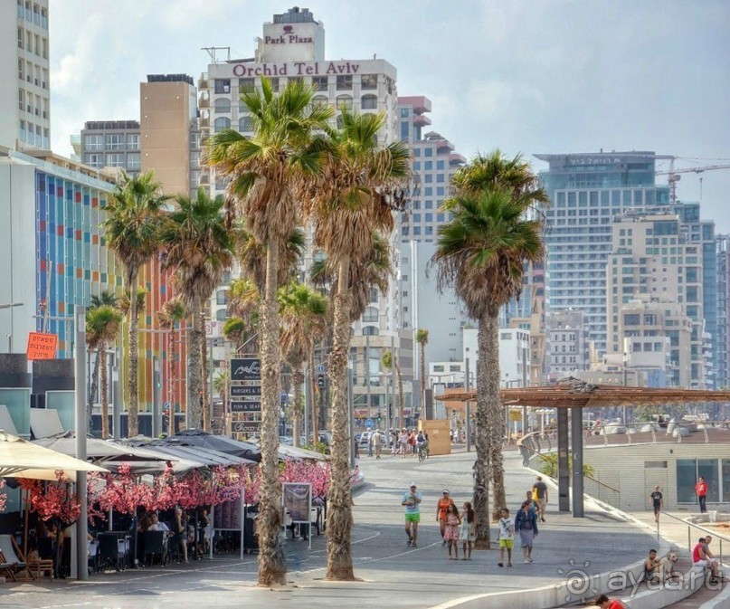 Шалом, Израиль! Часть 2, Тель-Авив + Старый Яффо. 