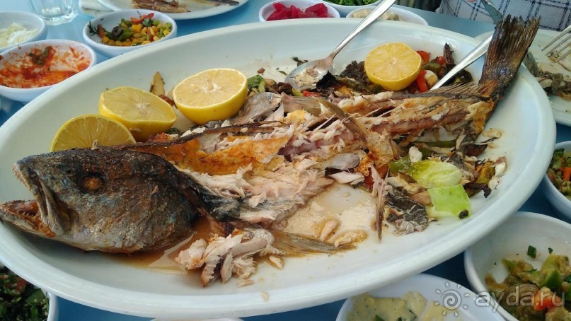 Шалом, Израиль! Часть 2, Тель-Авив + Старый Яффо. 