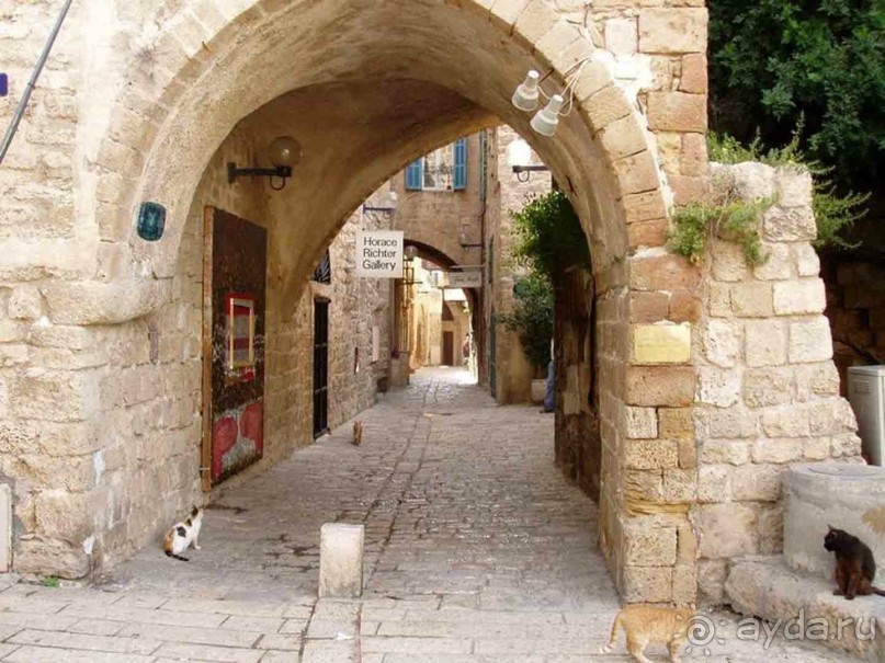 Шалом, Израиль! Часть 2, Тель-Авив + Старый Яффо. 