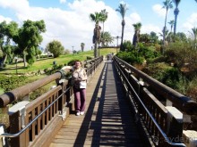 Шалом, Израиль! Часть 2, Тель-Авив + Старый Яффо. 