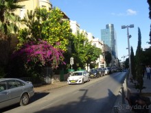 Шалом, Израиль! Часть 2, Тель-Авив + Старый Яффо. 