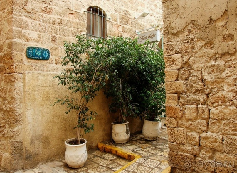 Шалом, Израиль! Часть 2, Тель-Авив + Старый Яффо. 