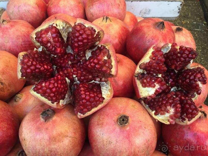 Шалом, Израиль! Часть 2, Тель-Авив + Старый Яффо. 