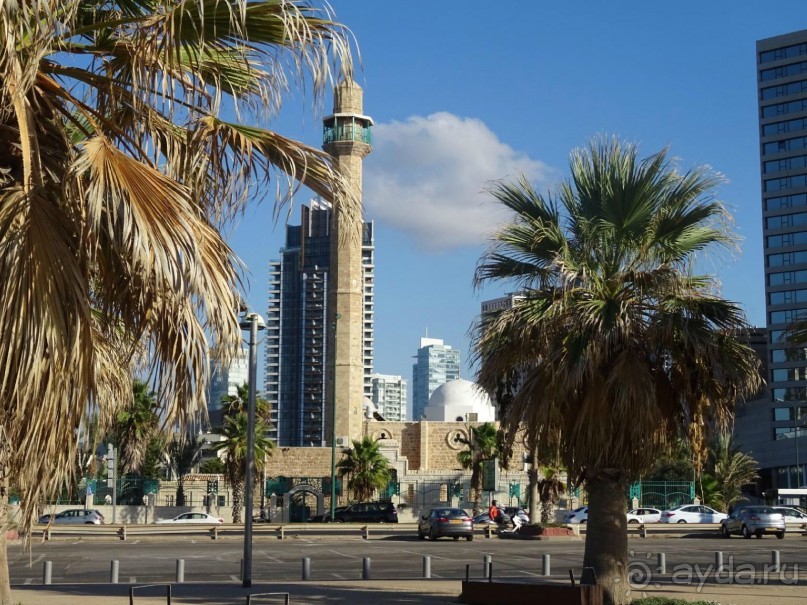 Шалом, Израиль! Часть 2, Тель-Авив + Старый Яффо. 