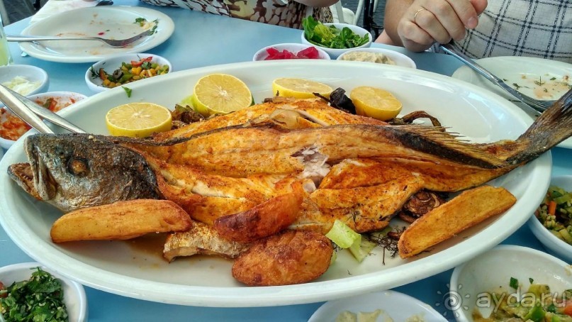 Шалом, Израиль! Часть 2, Тель-Авив + Старый Яффо. 