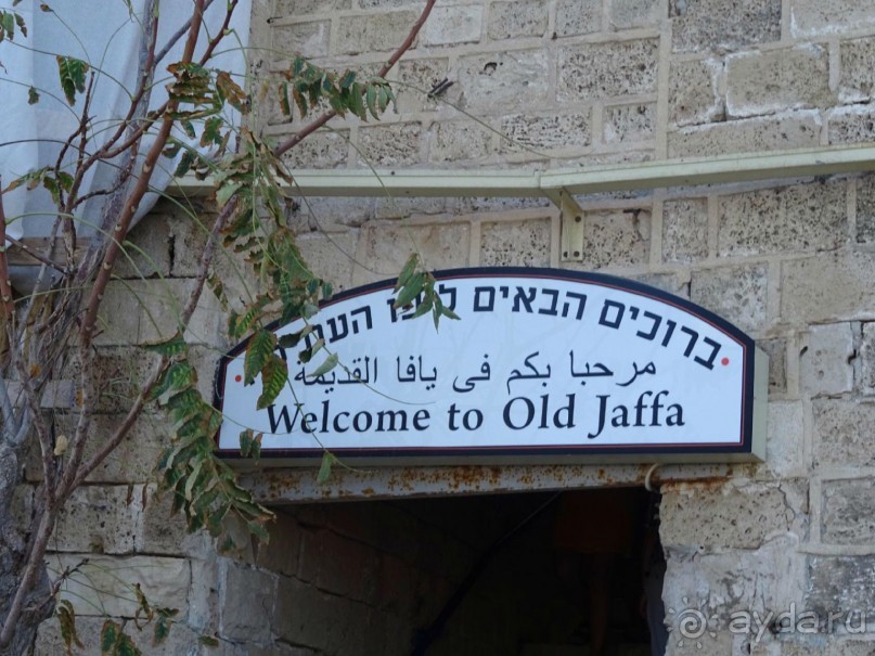 Шалом, Израиль! Часть 2, Тель-Авив + Старый Яффо. 