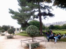 Сад Тюильри относится к одному из самых старинных и популярных мест Парижа, он находится в центре французской столицы в 1-ом округе и расположен на правом берегу Сены.