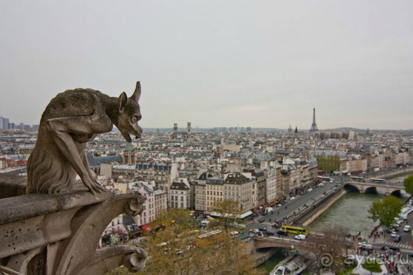 На соборе множество фигур. Это химеры и горгульи. С французского языка gargouille переводится, как желоб или водосточная труба. Таким образом, чудовища не что иное, как водосточные трубы, отводящие потоки дождевой воды от крыши и стен собора.   Подняться на смотровую площадку собора можно, отстояв огромную очередь внизу.