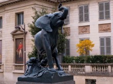 В нем выставлены экспонаты, которые в основном представляют художественное наследие Франции в период с 1848 по 1915 гг. Это скульптуры, картины, предметы мебели и фотографии.