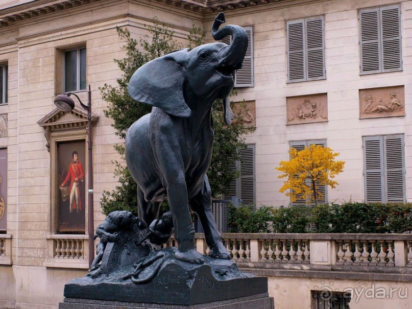 Альбом отзыва "Самостоятельно по Франции. Часть 1. Увидеть Париж и.....не умереть!"