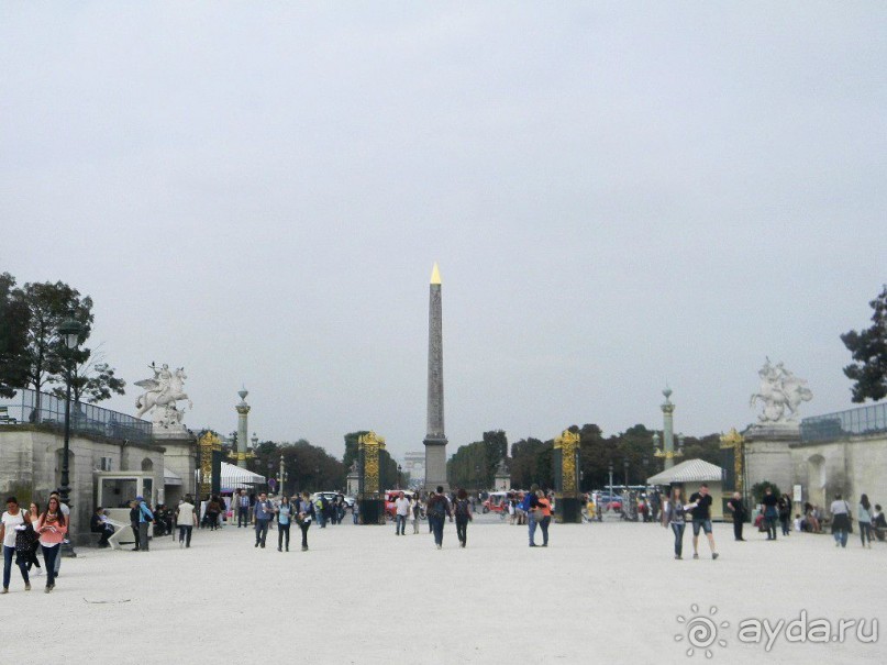 Великолепный обелиск из розового гранита был подарен Франции египетским вице-королем Мехметом-Али. Обелиск изъяли из храма бога Амнона в Фивах. Иероглифы на обелиске помнят еще времена фараонов, возраст их – примерно 3600 лет