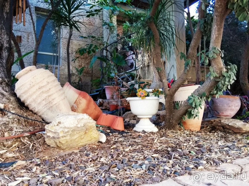 Шалом, Израиль! Часть 1. Нетания