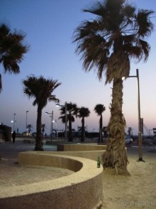 Шалом, Израиль! Часть 1. Нетания