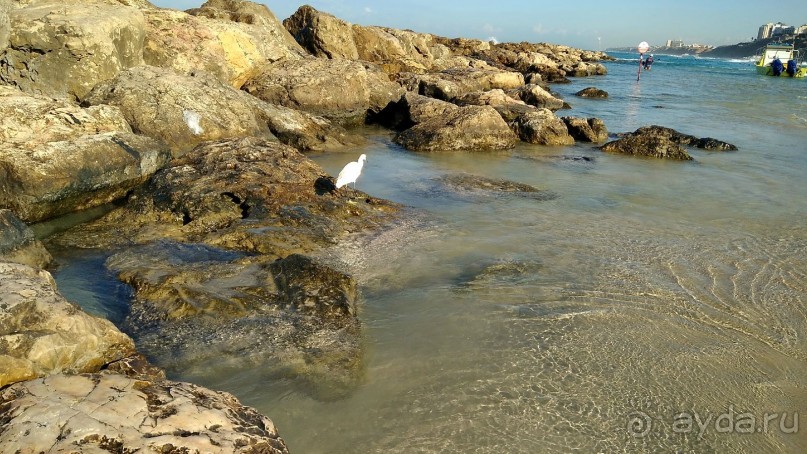 Шалом, Израиль! Часть 1. Нетания