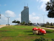 Шалом, Израиль! Часть 1. Нетания