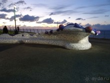 Шалом, Израиль! Часть 1. Нетания