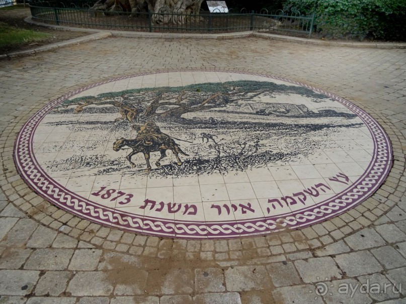 Шалом, Израиль! Часть 1. Нетания