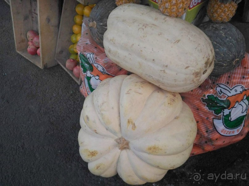 Шалом, Израиль! Часть 1. Нетания