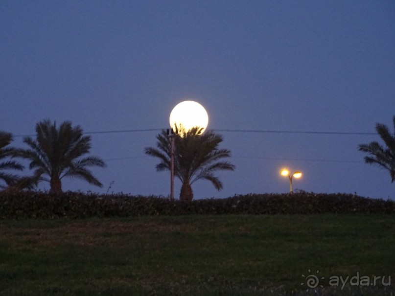 Шалом, Израиль! Часть 1. Нетания