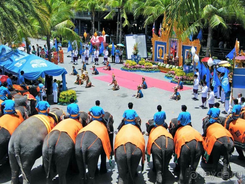 Тайланд навсегда....Часть 2. Тропический сад Нонг Нуч в Паттайе.
