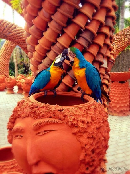 Тайланд навсегда....Часть 2. Тропический сад Нонг Нуч в Паттайе.