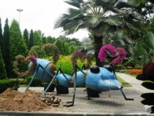 Тайланд навсегда....Часть 2. Тропический сад Нонг Нуч в Паттайе.