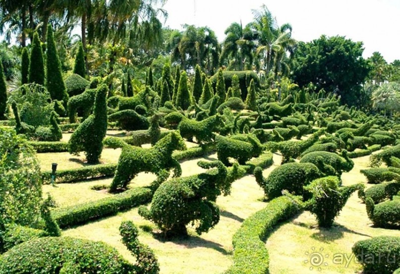 Тайланд навсегда....Часть 2. Тропический сад Нонг Нуч в Паттайе.