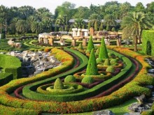 Тайланд навсегда....Часть 2. Тропический сад Нонг Нуч в Паттайе.