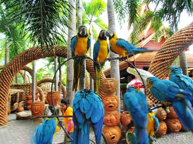 Тайланд навсегда....Часть 2. Тропический сад Нонг Нуч в Паттайе.