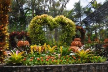 Тайланд навсегда....Часть 2. Тропический сад Нонг Нуч в Паттайе.