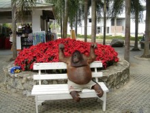 Тайланд навсегда....Часть 2. Тропический сад Нонг Нуч в Паттайе.