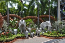 Тайланд навсегда....Часть 2. Тропический сад Нонг Нуч в Паттайе.