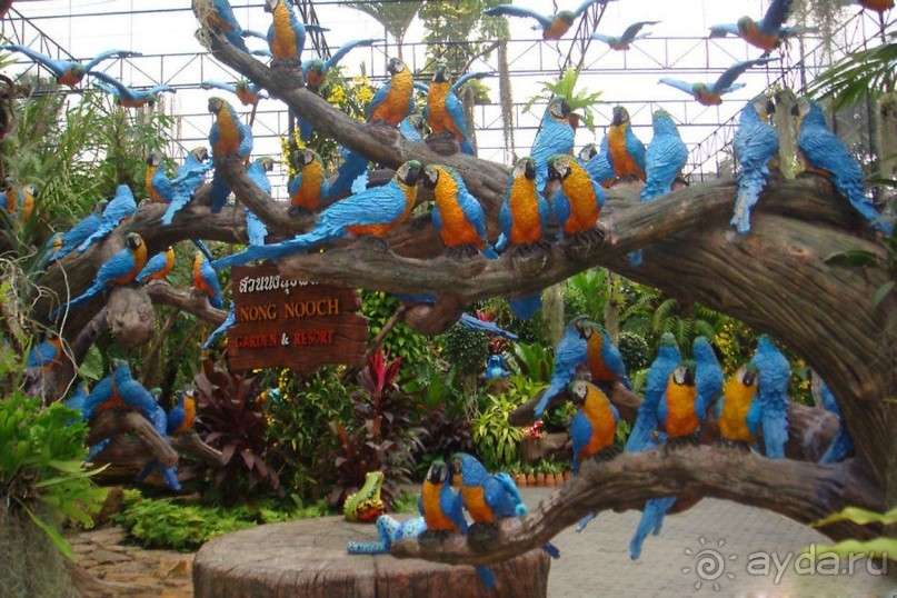 Тайланд навсегда....Часть 2. Тропический сад Нонг Нуч в Паттайе.