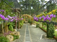 Тайланд навсегда....Часть 2. Тропический сад Нонг Нуч в Паттайе.