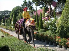 Тайланд навсегда....Часть 2. Тропический сад Нонг Нуч в Паттайе.