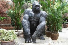 Тайланд навсегда....Часть 2. Тропический сад Нонг Нуч в Паттайе.