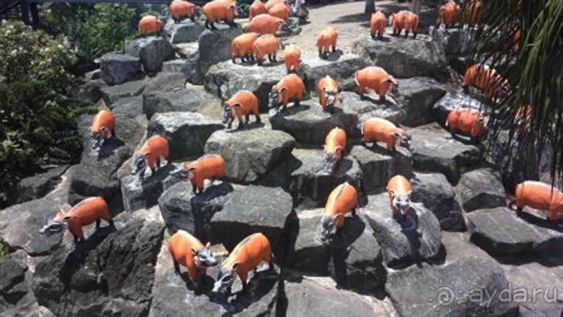 Тайланд навсегда....Часть 2. Тропический сад Нонг Нуч в Паттайе.