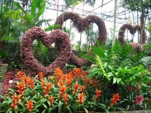 Тайланд навсегда....Часть 2. Тропический сад Нонг Нуч в Паттайе.