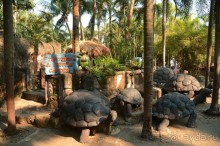 Тайланд навсегда....Часть 2. Тропический сад Нонг Нуч в Паттайе.