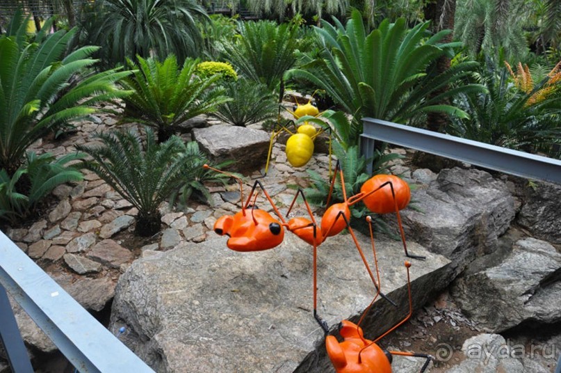 Тайланд навсегда....Часть 2. Тропический сад Нонг Нуч в Паттайе.